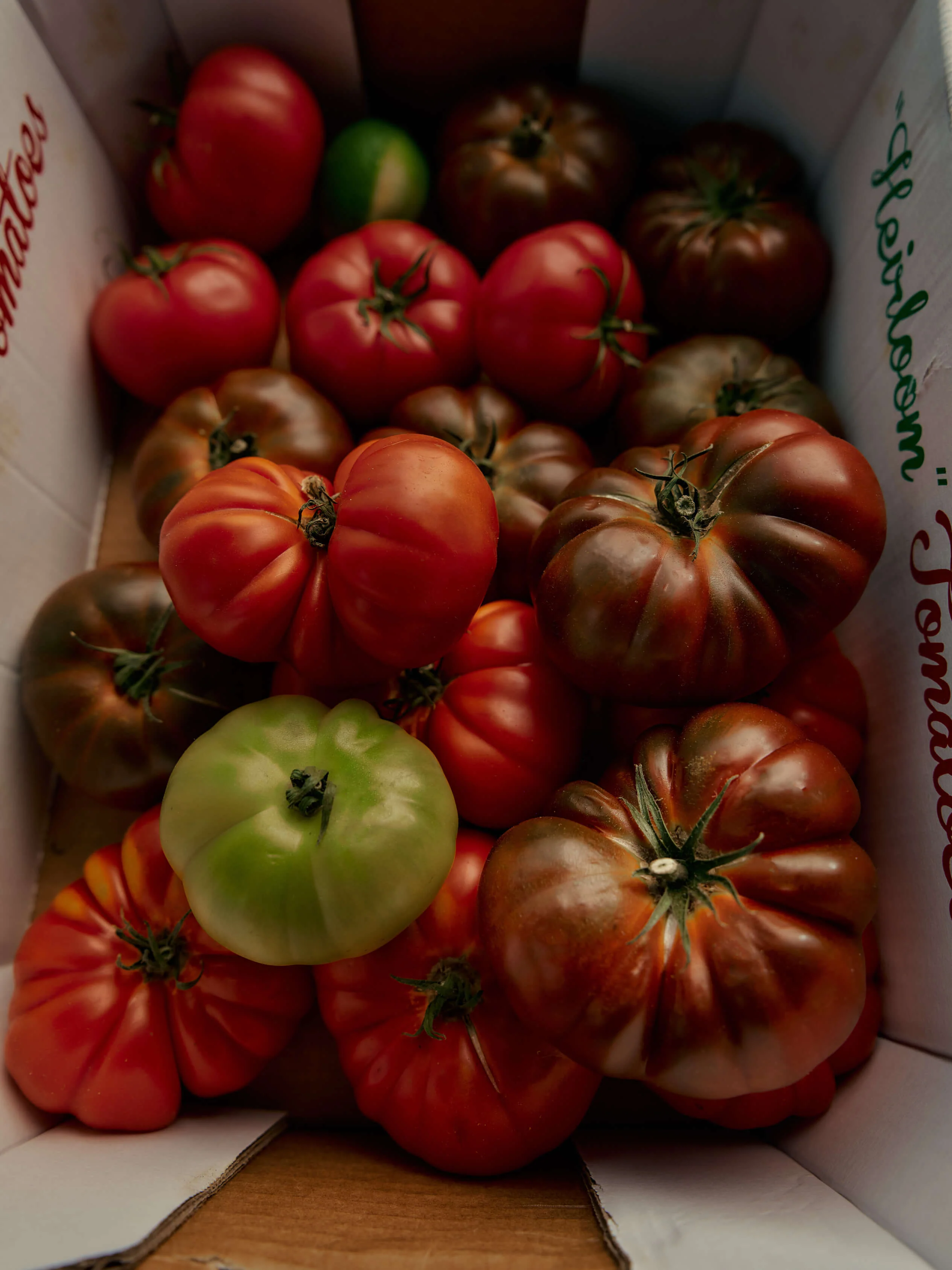 Heirloom Tomato Candle - Image 5