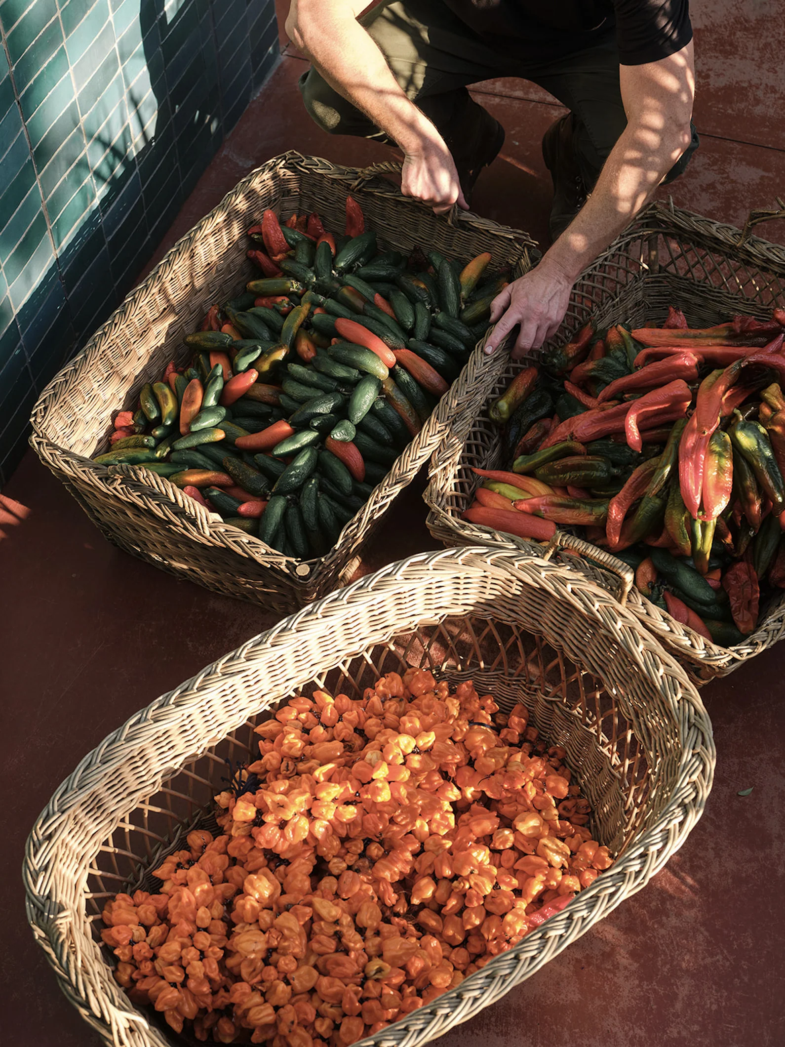 Spicy Finishing Set - Image 10