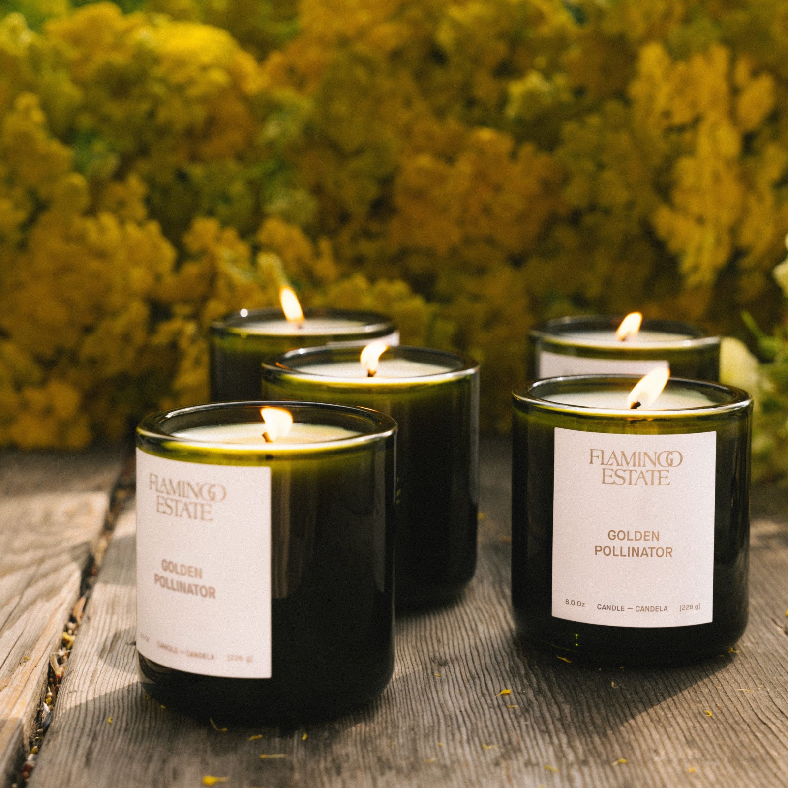 Golden Pollinator Candle - Image 9