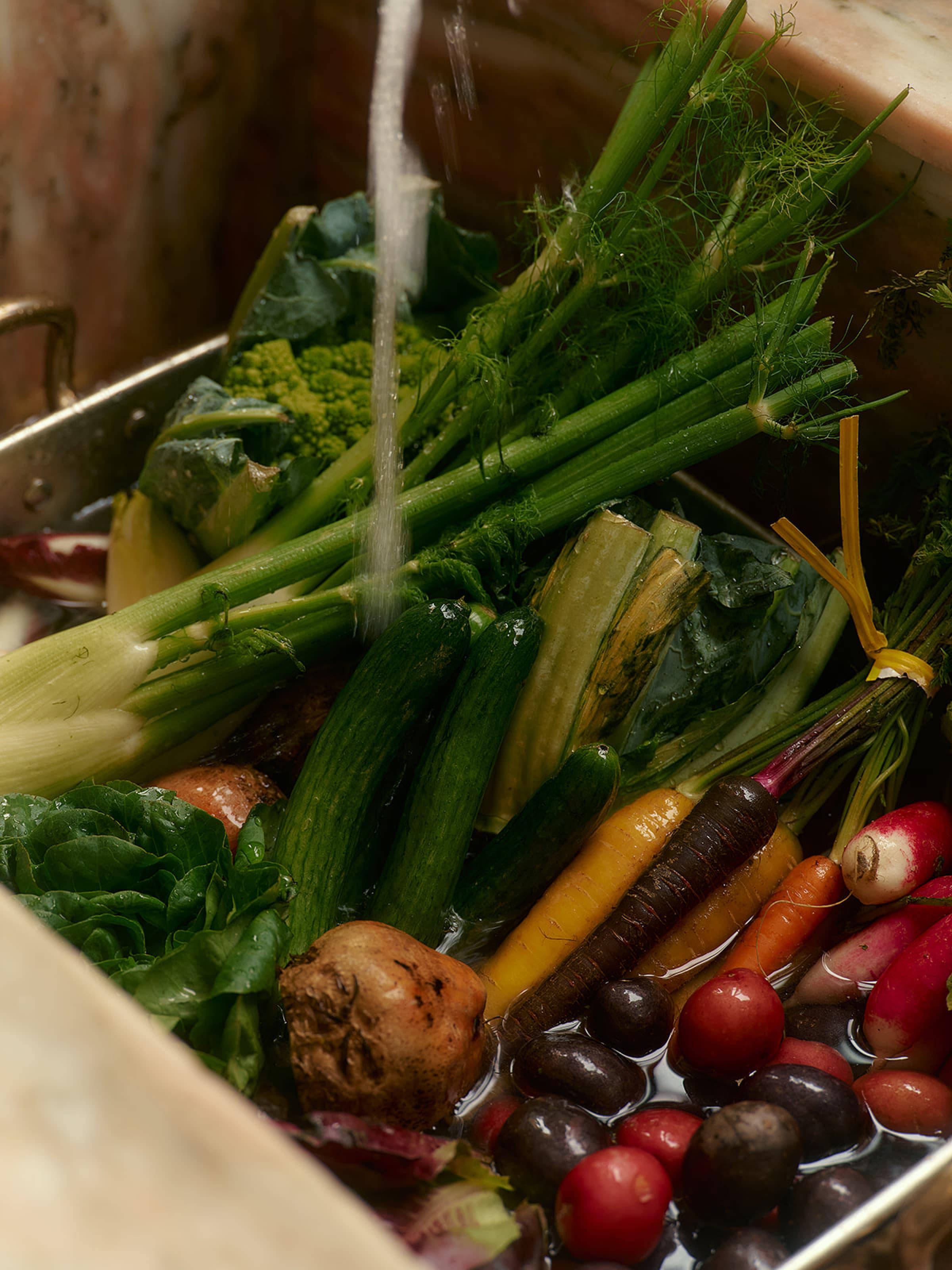 The Regenerative Farm Box - Image 10